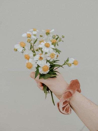 Image by Tessa Wilson