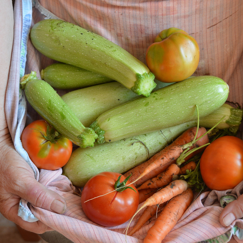 Virtual Summer Supper: Italian Veggie Tart
