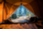 The view of adventure in a forrest from the inside of a camping tent. 