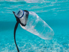 One Shopper Against Plastic