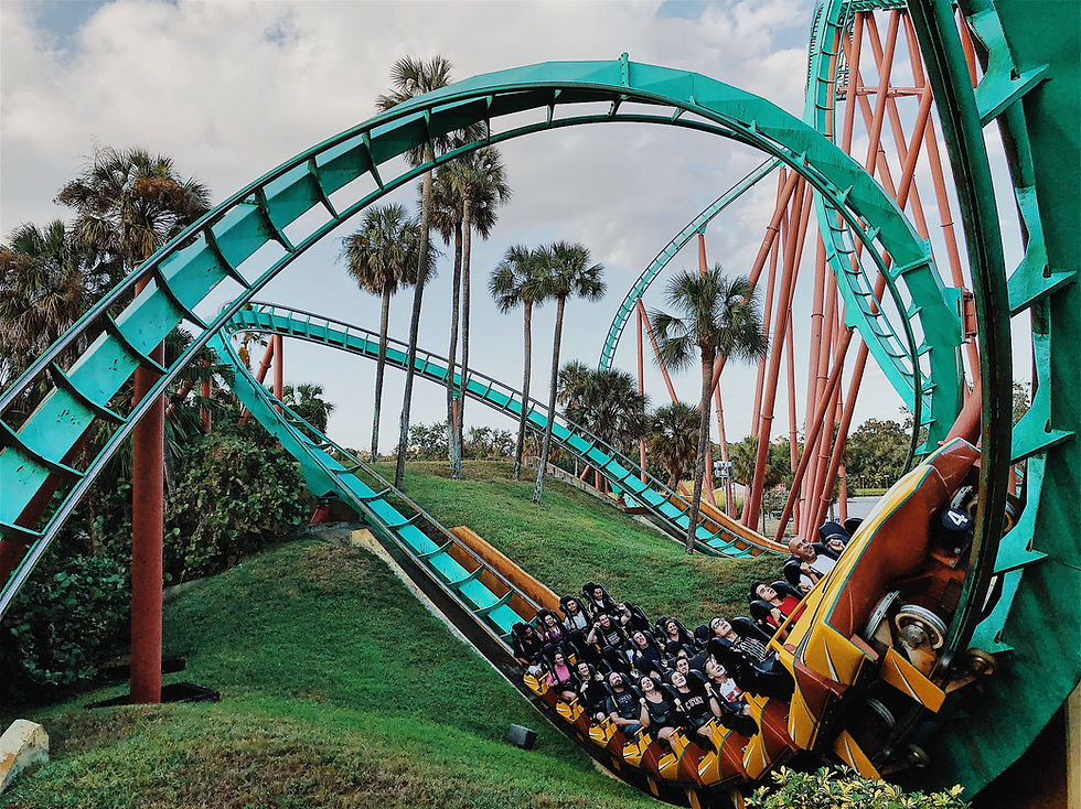 Image of a roller coaster loop