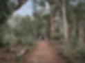 Image by Joshua Leong