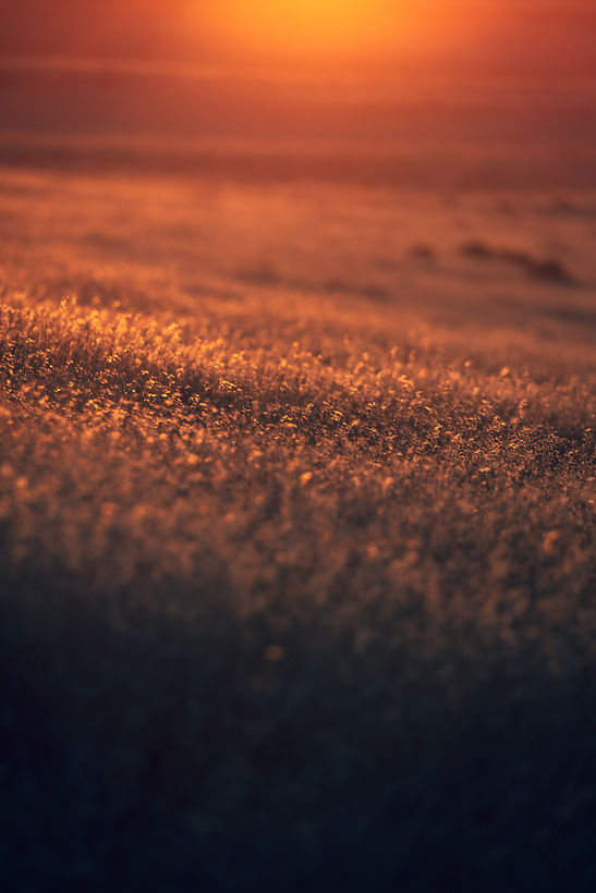Image by Patrick Hendry