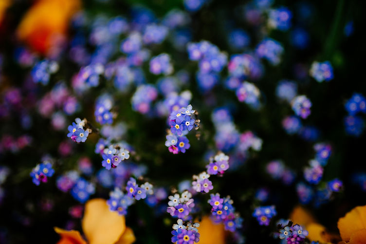 Image by Dimitri Tyan