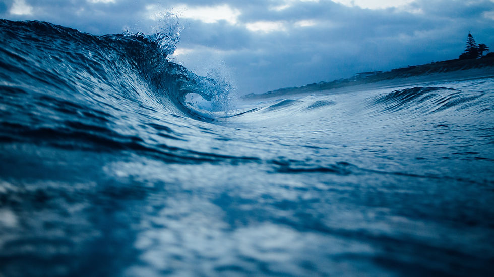 Image by Tim Marshall