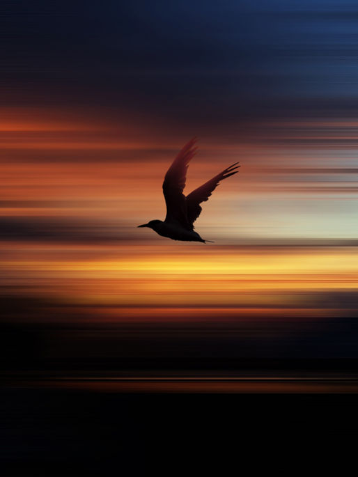 The Call for Synchronicity