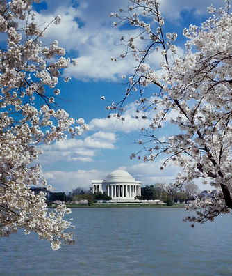 Image by Library of Congress