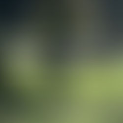 A week in review - June 27 - July 2, 2021
