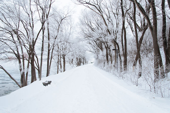 snowy winter Image by Ali Inay