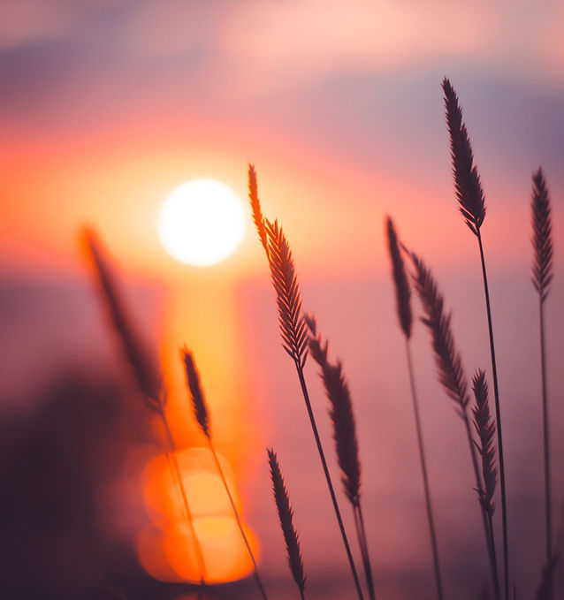 Image by Ann Savchenko