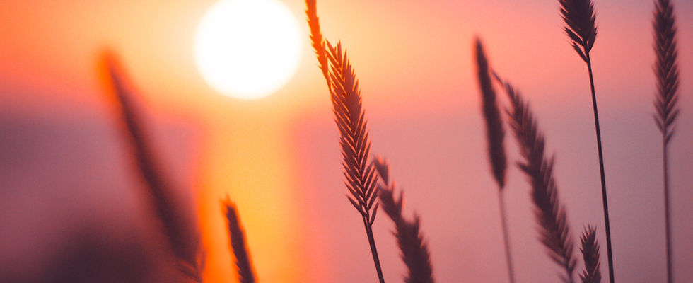 Image by Ann Savchenko