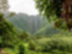 The Hawaiian Experience 101-102