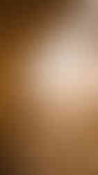 Imprescindibles que ver en Calgary, Alberta