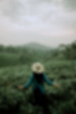 Image by kudung setiawan