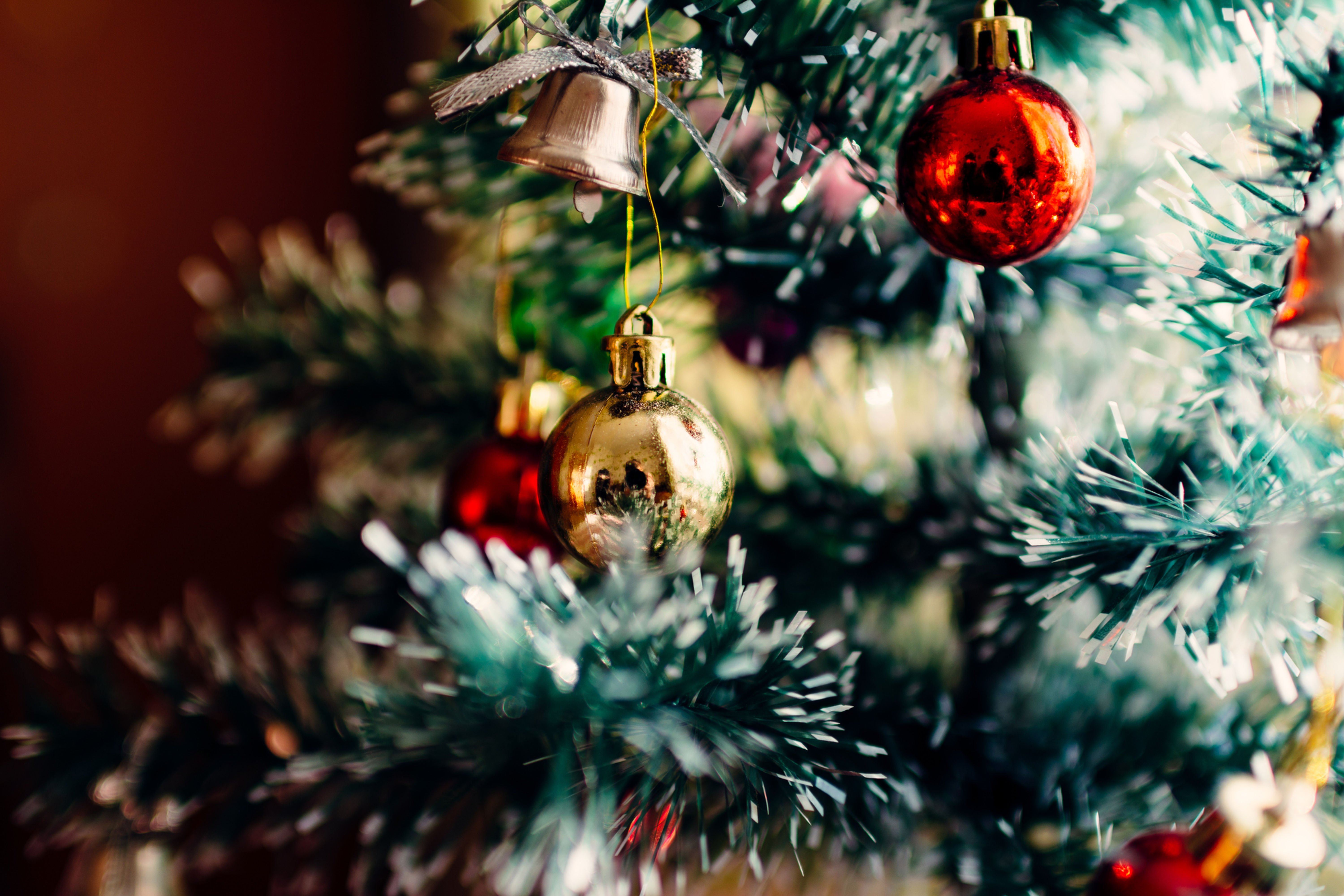 Hi! For one day only, I am hosting Outdoor Christmas Minis at our beloved downtown Castle Rock in front of the amazing tree in Festival Park on December 3rd for $250 for 20 minute sessions.       I am grateful for all of you and wanted to extend some genuine gratitude to you, your families and your business; especially during the season of kindness.      Thank you,  Tarra