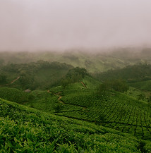 Image by Ravi Pinisetti