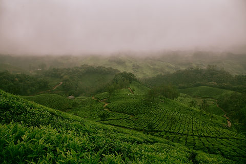Image by Ravi Pinisetti