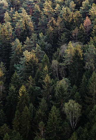 Image by Artem Sapegin
