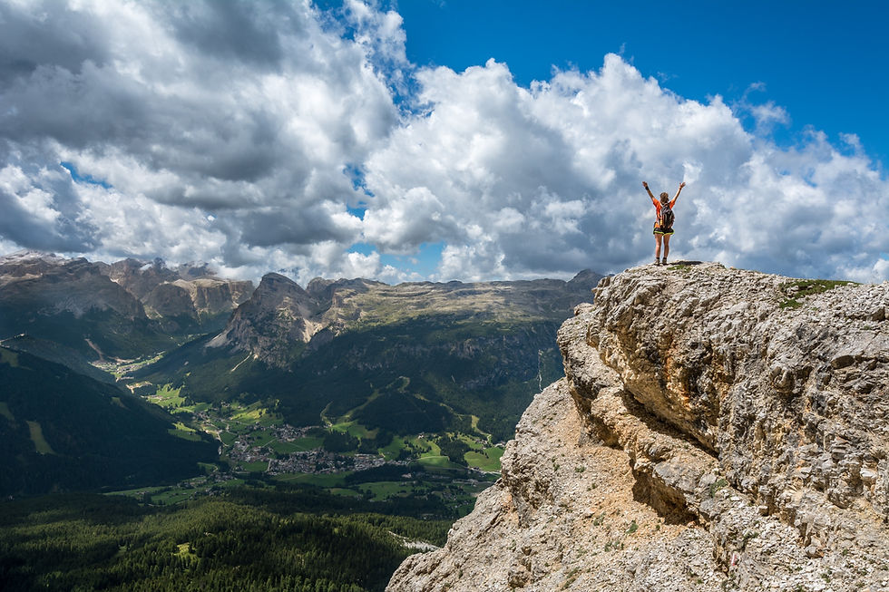 Organizational resilience
