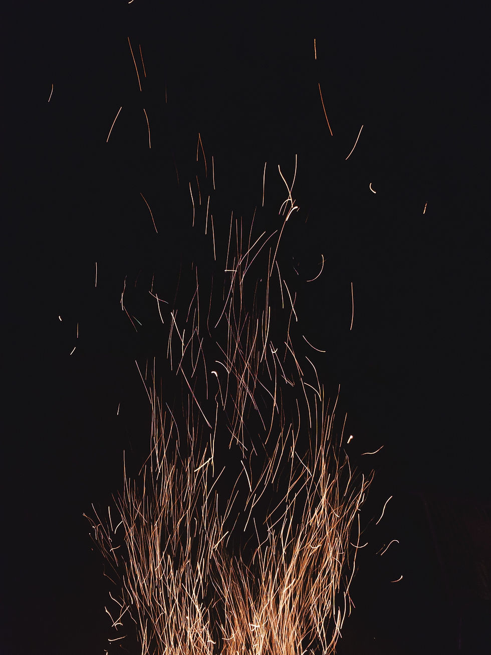 Image by Maria P