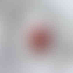 Weißes Edelstahl-Sieb mit frischen, reifen Erdbeeren auf hellem, weißem Hintergrund – ein Bild voller Frische, Natürlichkeit und Genuss.