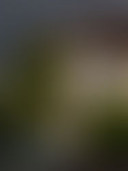 How to Use Property Data to Negotiate Better Deals