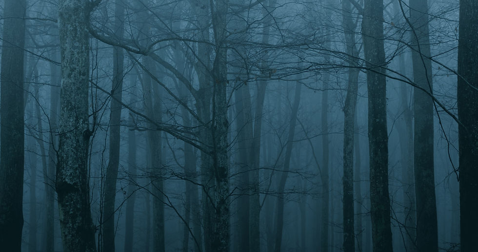Image by Branimir Balogović