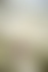 Guidance on Plans of Care & Discharge Planning