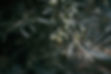 Image by Emre