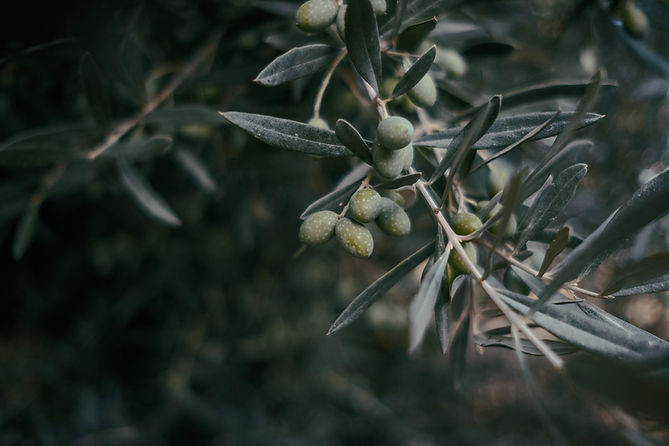 Image by Emre
