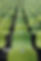 photo_accueil_5.png