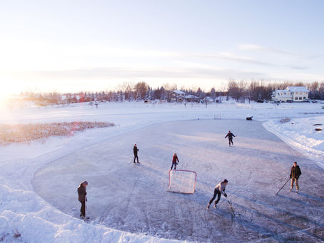 Exploring the World of Ice Hockey Through Enthusiast Insights