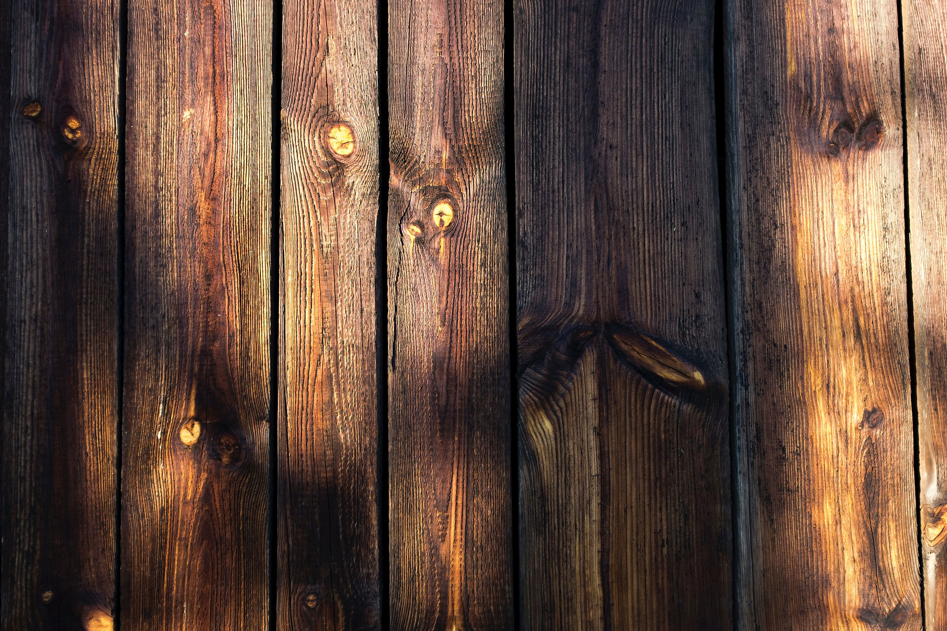 Charlotte Fencing Backyard Fence & Specialties