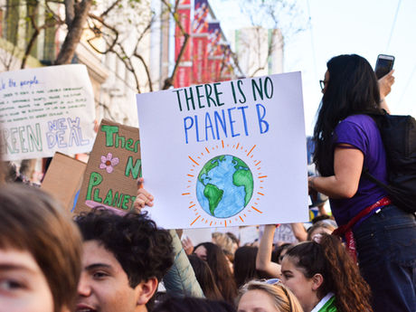 Navigating Resilience Against Climate Anxiety in Environmental Leadership