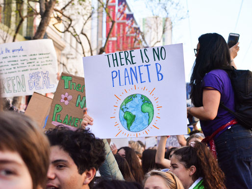 Cedo zobowiązuje się do osiągnięcia neutralności klimatycznej do 2030 roku