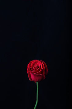 Image by zhengtao tang