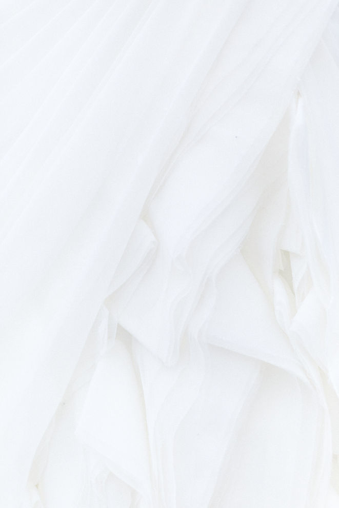 Image by Alyssa Hurley