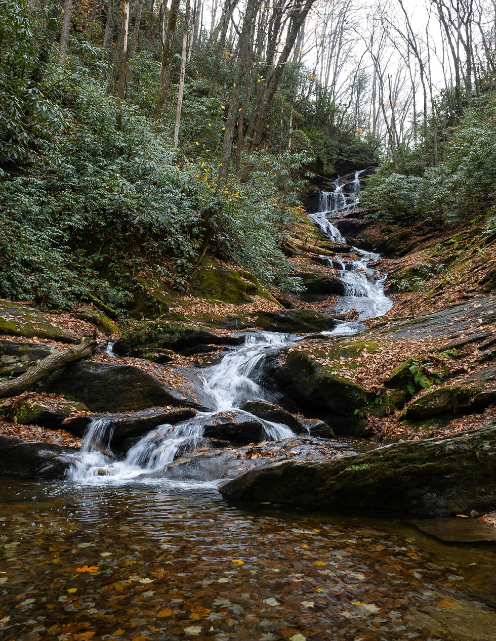 A serene waterfall cascades down moss-covered rocks in a lush forest, surrounded by autumn leaves and tall trees.
