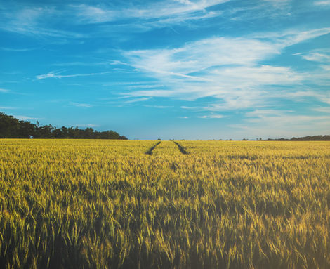 Image by D O M I N I K J P W