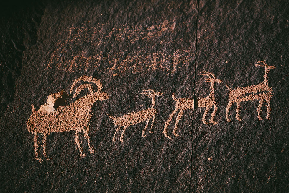 Image by Patrick Hendry
