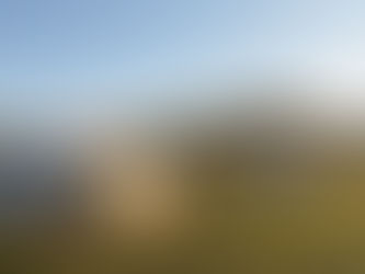 Endless Horizons: Nomadic Adventures of an Ultramarathon Runner in Mongolia - Part 2