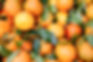 Coldpress expands portfolio with vitamin-boosted mandarin juice
