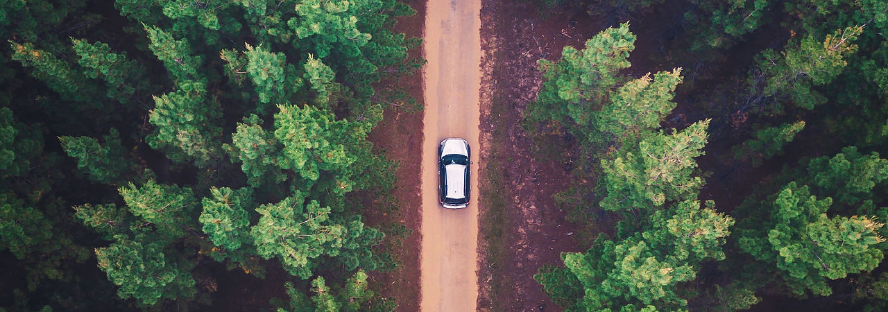 Image by Liam Pozz