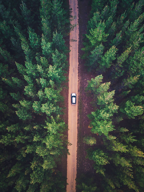 Image by Liam Pozz
