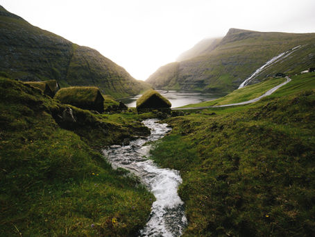 THE INNER FLOW - YOUR BODY’S DETOX SYSTEM