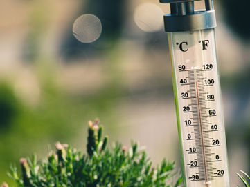 What Temperature Should My Worm Compost Bin Be?