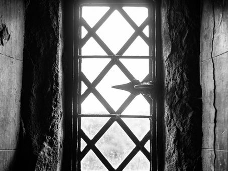 The Girl in the Window