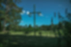 Online - Midsummer Witchcraft