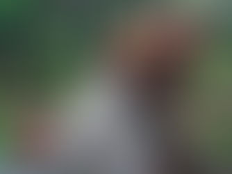 Princípio Biocêntrico: a Vida no Centro