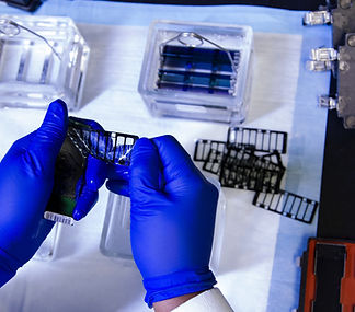 Image by National Cancer Institute